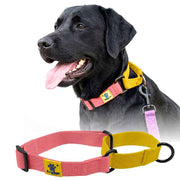 A+a Pets’ Martingale Collar for Dogs - Pink Cotton Collection - www.aplusapets.com