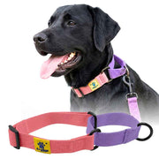 A+a Pets’ Martingale Collar for Dogs - Pink Cotton Collection - www.aplusapets.com
