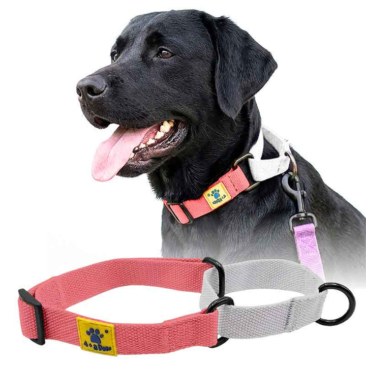 A+a Pets’ Martingale Collar for Dogs - Pink Cotton Collection - www.aplusapets.com