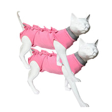 A+a Pets' Post Surgery Recovery Clothing for Cats