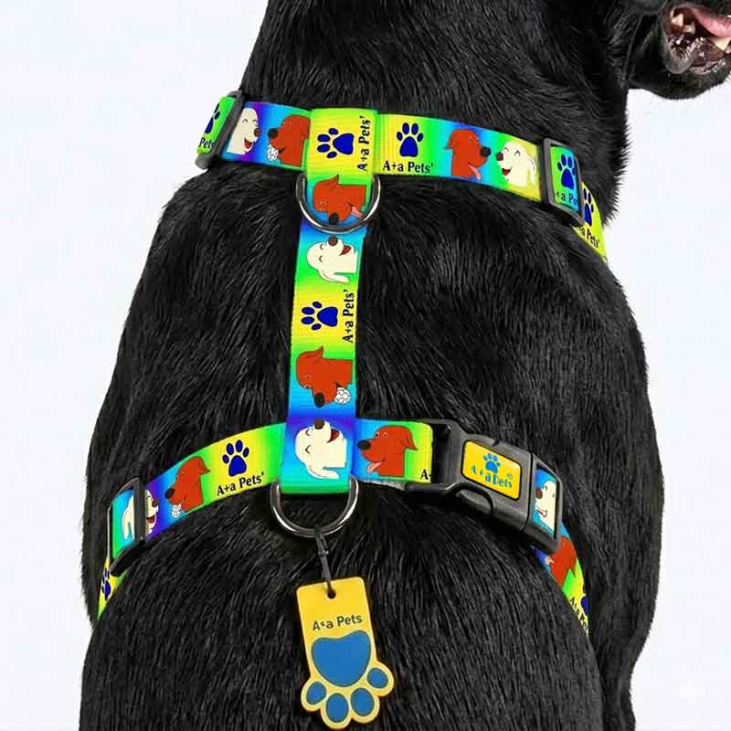 Dog wearing a colorful harness with paw print design on a white background