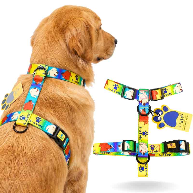 Dog wearing a colorful harness with paw print design, including a close-up of the harness on a white background.