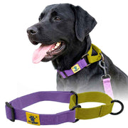 A+a Pets’ Martingale Collar for Dogs - Purple Cotton Collection - www.aplusapets.com