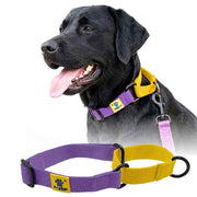 A+a Pets’ Martingale Collar for Dogs - Purple Cotton Collection - www.aplusapets.com