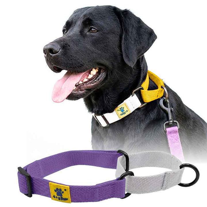 A+a Pets’ Martingale Collar for Dogs - Purple Cotton Collection - www.aplusapets.com