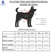 dog raincoat sizes