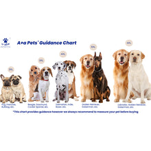 size chart for dog raincoat