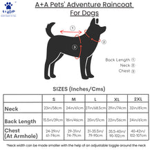 dog raincoat size