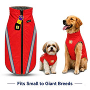 Red dog vests with reflective stripes on a white background, featuring small and large dogs wearing them.
