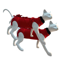 A+a Pets' Post Surgery Recovery Clothing for Cats