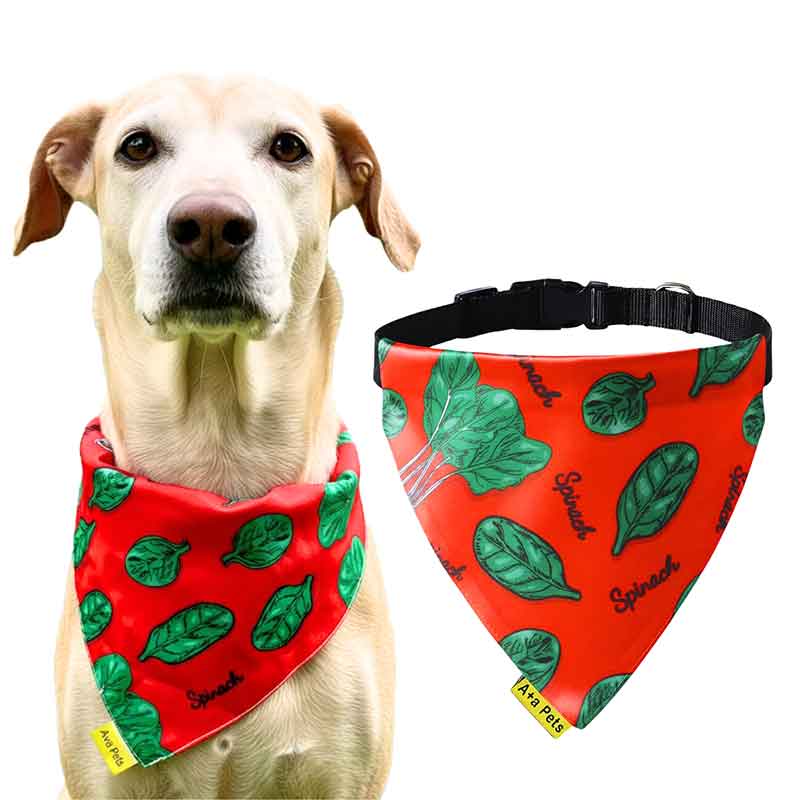 A+a Pets' 2in1 Scarf Collar Bandana for Dogs & Cats - Fruit Collection - www.aplusapets.com