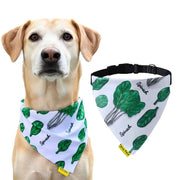A+a Pets' 2in1 Scarf Collar Bandana for Dogs & Cats - Fruit Collection - www.aplusapets.com
