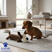 A brown dachshund sits on a light rug in a bright living room, interacting with a plush dog toy. The toy is brown with a white snout and black nose.