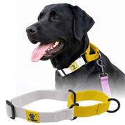 A+a Pets’ Martingale Collar for Dogs - Mango Cotton Collection - www.aplusapets.com