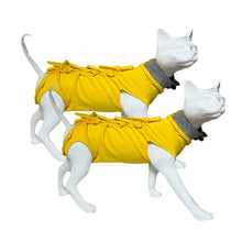 A+a Pets' Post Surgery Recovery Clothing for Cats