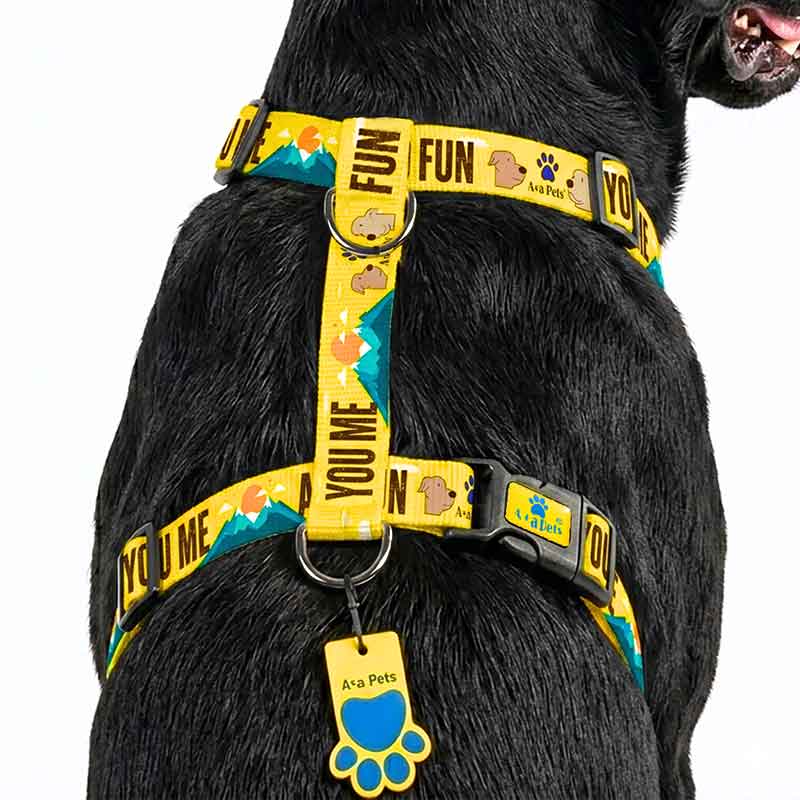 Dog wearing a yellow harness with 'You Me' branding on a white background