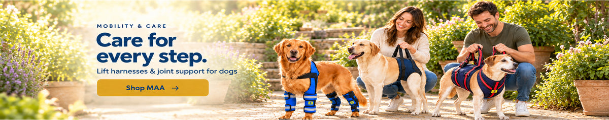 Care for every step. Lift harnesses and joint support for dogs. Shop MAA.