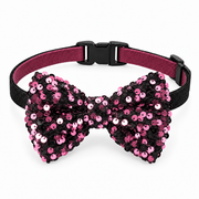 Pink sequins bow and collar for dogs, on white background