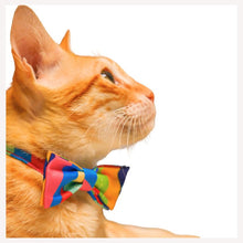 Cute Cat Collar with Bow Tie - Pet Fashion Accessories