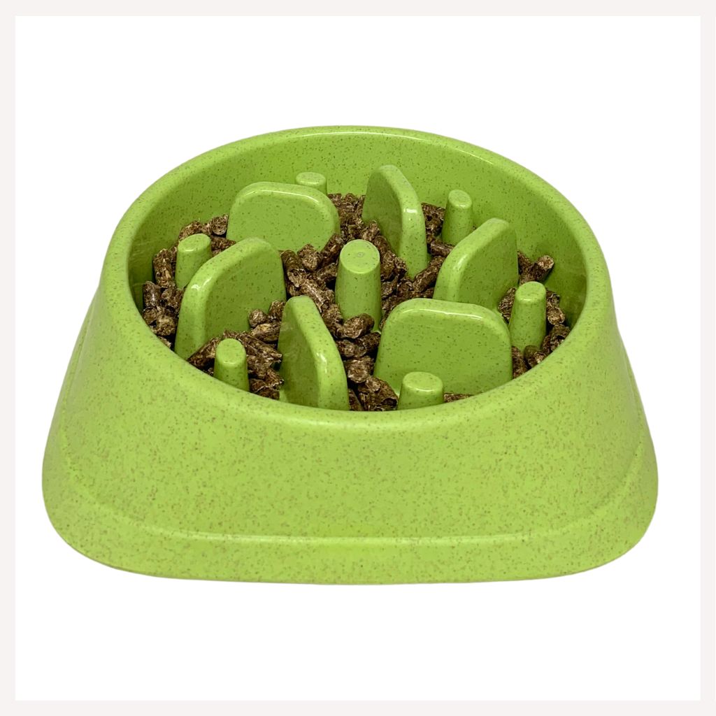 A+a Pets' Slow Feeder Bowl for Pets - www.aplusapets.com