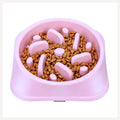 A+a Pets' Slow Feeder Bowl for Pets - www.aplusapets.com