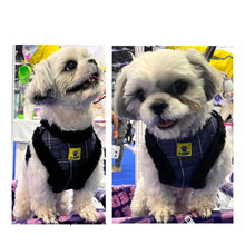 A+a Pets' Fur Harness & Leash Set for Cats & Small Dogs