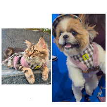 A+a Pets' Fur Harness & Leash Set for Cats & Small Dogs