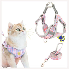 cute cat harness