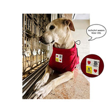 A+a Pets' Graphic Printed (Do You Nose ILU) T-Shirt for Dog, Puppy and Cat | Round Neck | Breathable Costumes | 100% Cotton - www.aplusapets.com