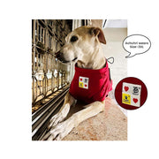 A+a Pets' Graphic Printed (Mate) T-Shirt for Dog, Puppy and Cat | Round Neck | Breathable Costumes | 100% Cotton - www.aplusapets.com