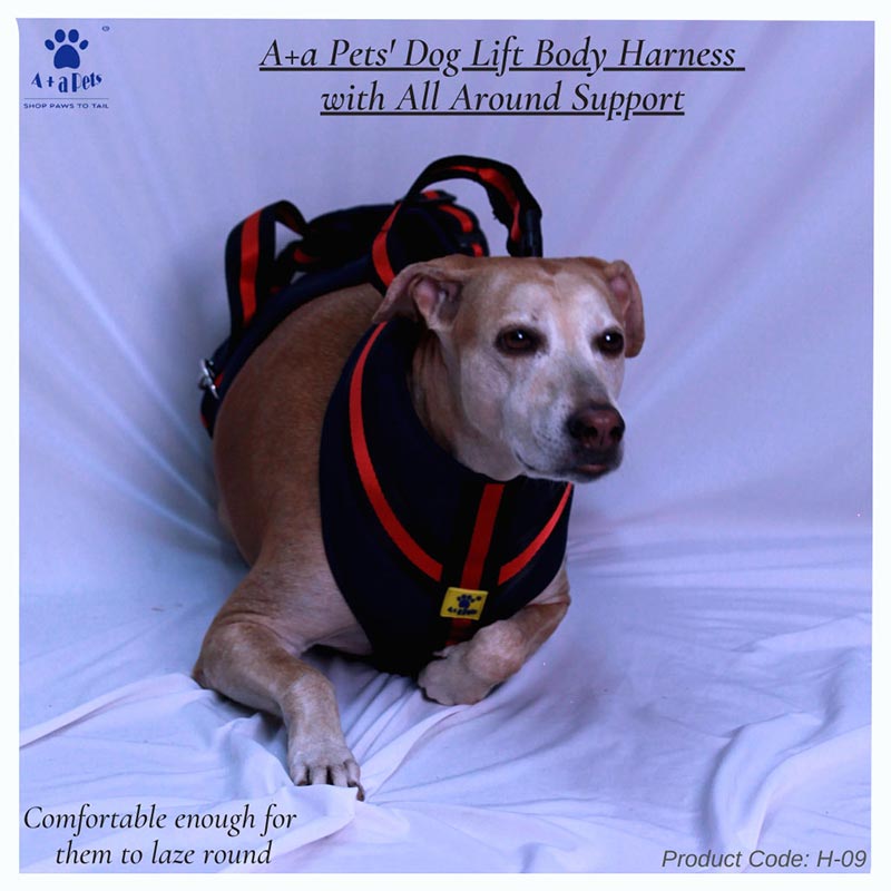 A+a Pets' Dog Lift Full Body Support Harness
