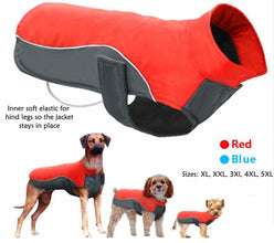 A+A Pets' Free & Wild’ Jacket For Dogs & Cats - Blue