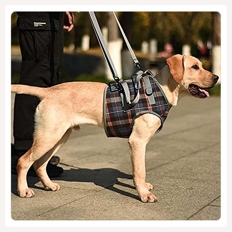 A+a Pets' Multi Function Everyday Vest Harness with Front Leg Lift Support