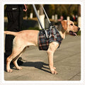 dog walking assistant for injured, paralyzed r weak leg dog
