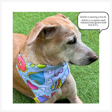 A+a Pets' 2in1 Scarf Collar Bandana for Dogs & Cats - Cute Collection