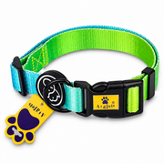Green Gradient collar centered on white background