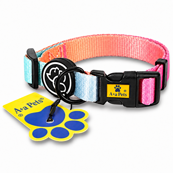 Pink Gradient collar centered on white background