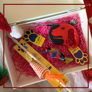 A+a Pets' Goodie Box of (3) for Dogs and Cats: Wand Toy, Retractable Leash, and Bow Collar - www.aplusapets.com
