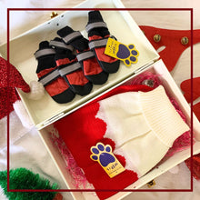 A+a Pets' Goodie Box of (2) for Dogs and Cats: Cozy Knitted Flannel Sweater & Boots