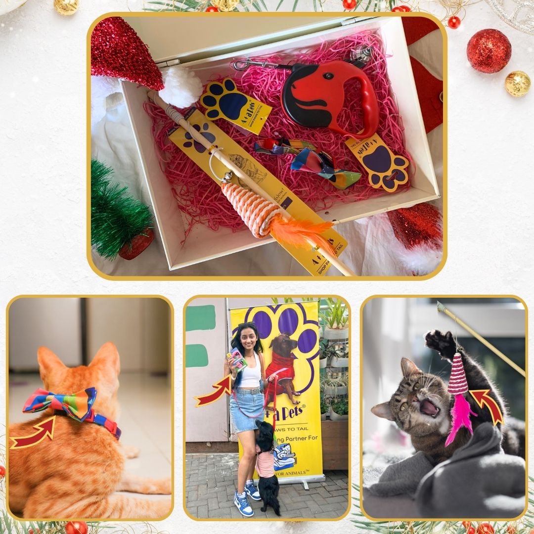 A+a Pets' Goodie Box of (3) for Dogs and Cats: Wand Toy, Retractable Leash, and Bow Collar - www.aplusapets.com