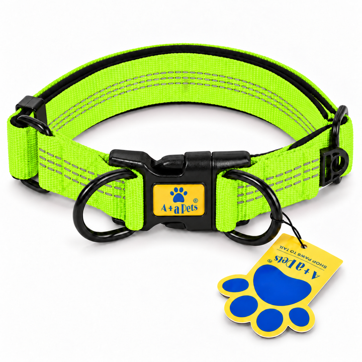 Green heavy duty padded collar for dogs, on white background