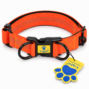 Orange heavy duty padded collar for dogs, on white background