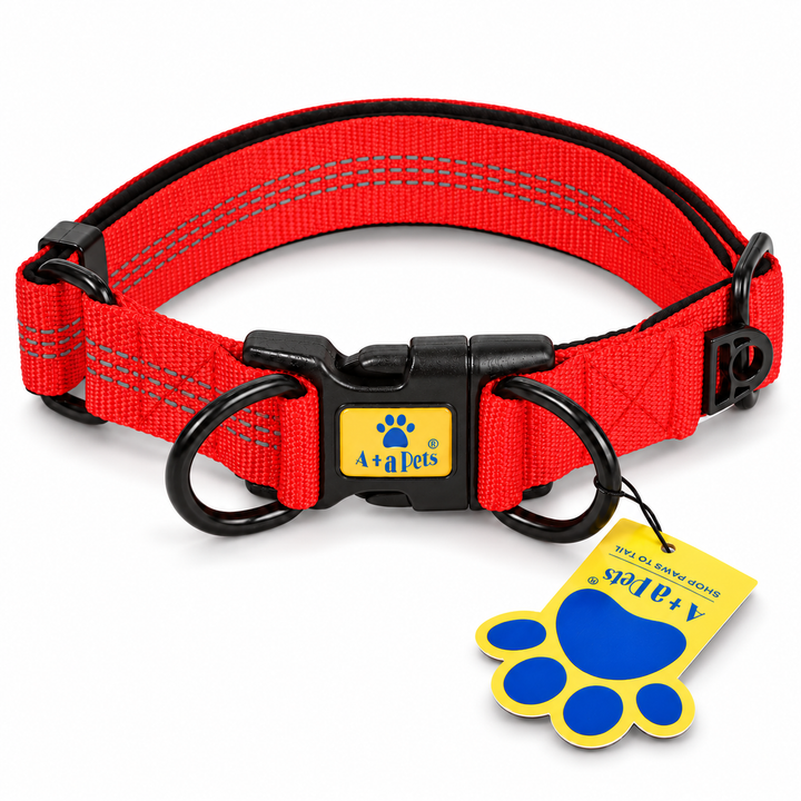 Red heavy duty padded collar for dogs, on white background
