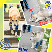 A+a Pets' Hock Joint Support Wrap Leg Braces - Pair - www.aplusapets.com