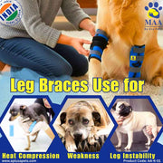 A+a Pets' Hock Joint Support Wrap Leg Braces - Pair - www.aplusapets.com