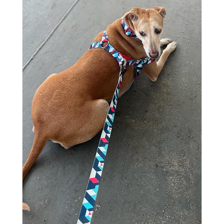 A+a Pets' Leash in Geometric Design - www.aplusapets.com