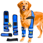 A+a Pets' Elbow Brace & Shoulder Support for Dogs for Front legs - www.aplusapets.com