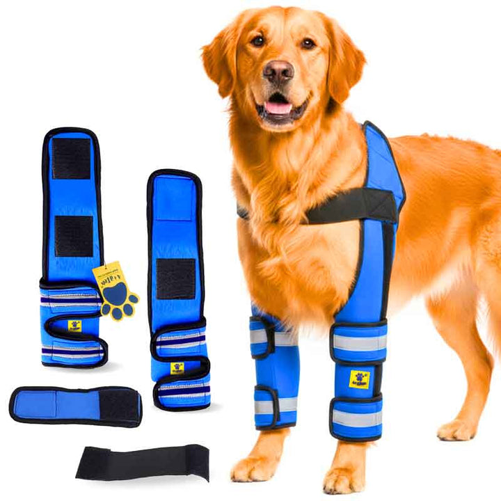 A+a Pets' Elbow Brace & Shoulder Support for Dogs for Front legs - www.aplusapets.com