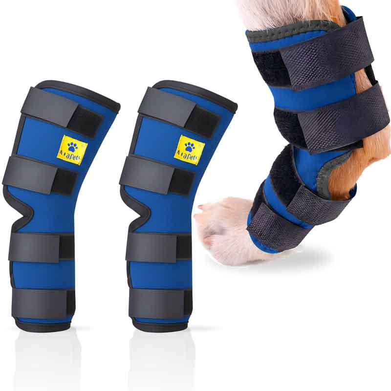 A+a Pets' Hock Joint Support Wrap Leg Braces - Pair - www.aplusapets.com