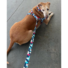A+a Pets' Leash in Geometric Design - www.aplusapets.com